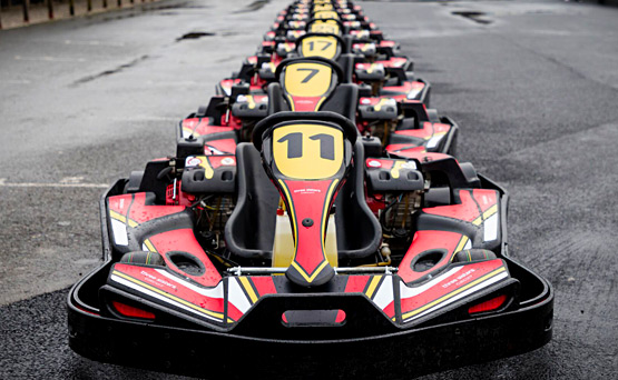 Adult Biz Karts Adult Biz Karts